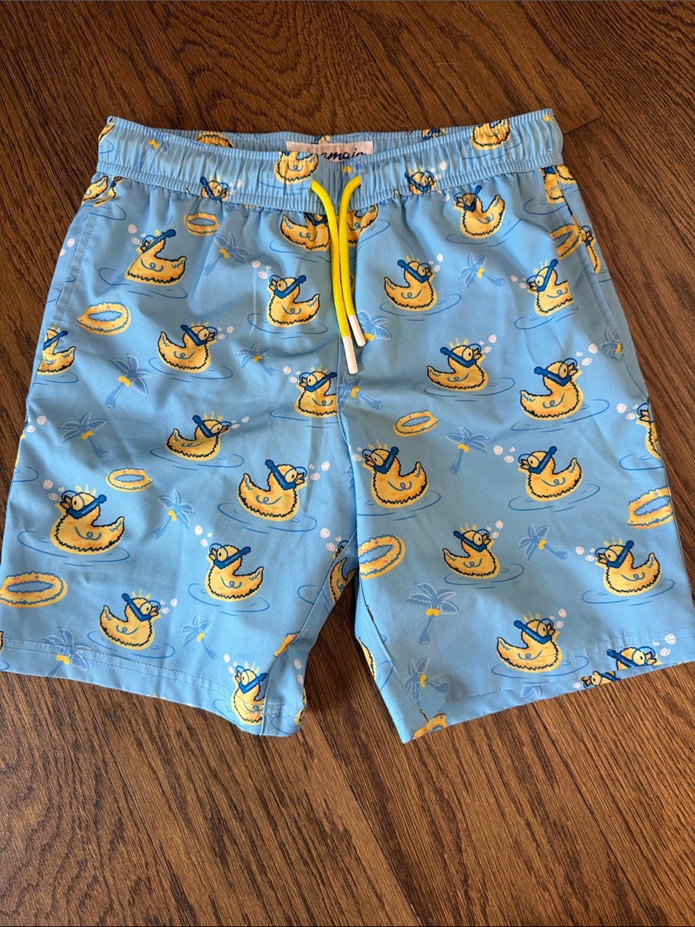 Premium Kids Light Blue Swim Shorts with Yellow Duck Print ~